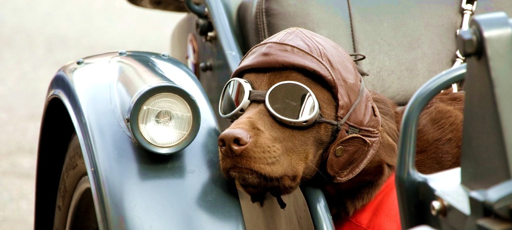 Онлайн тренинг _Трансформация Фильтров Восприятия__0.jpg